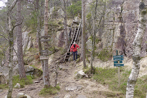 Bratthenget vest for Kjerringen og Brattheim