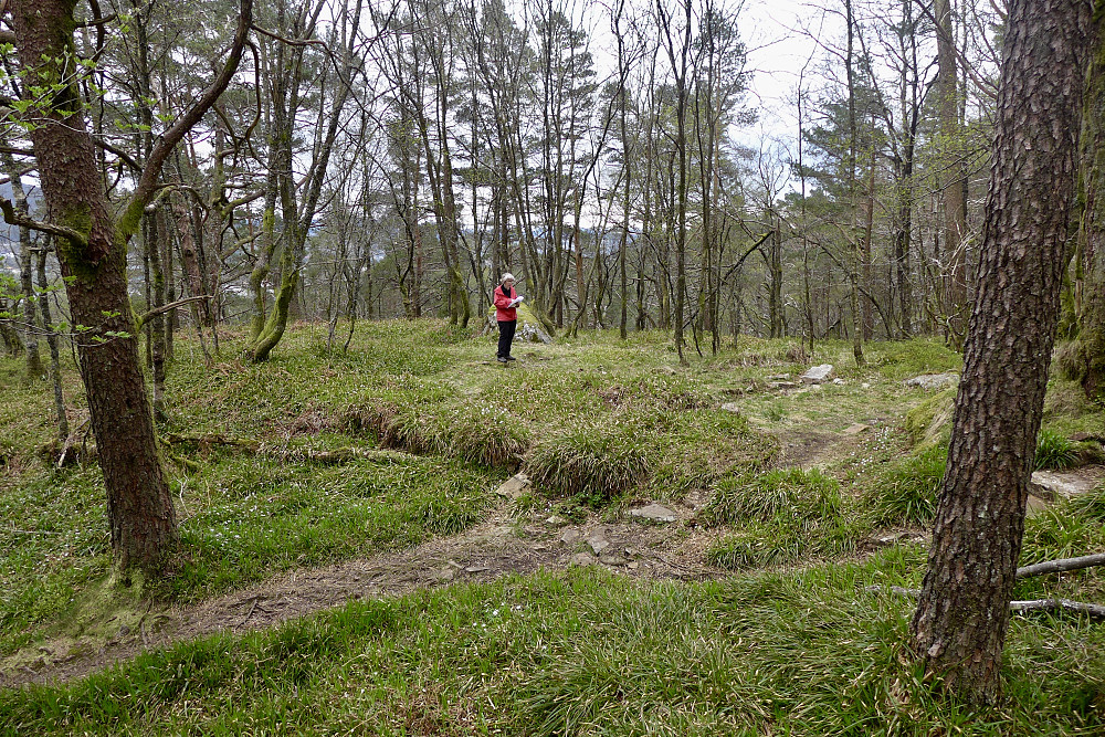 Flaten der Steinhytten lå