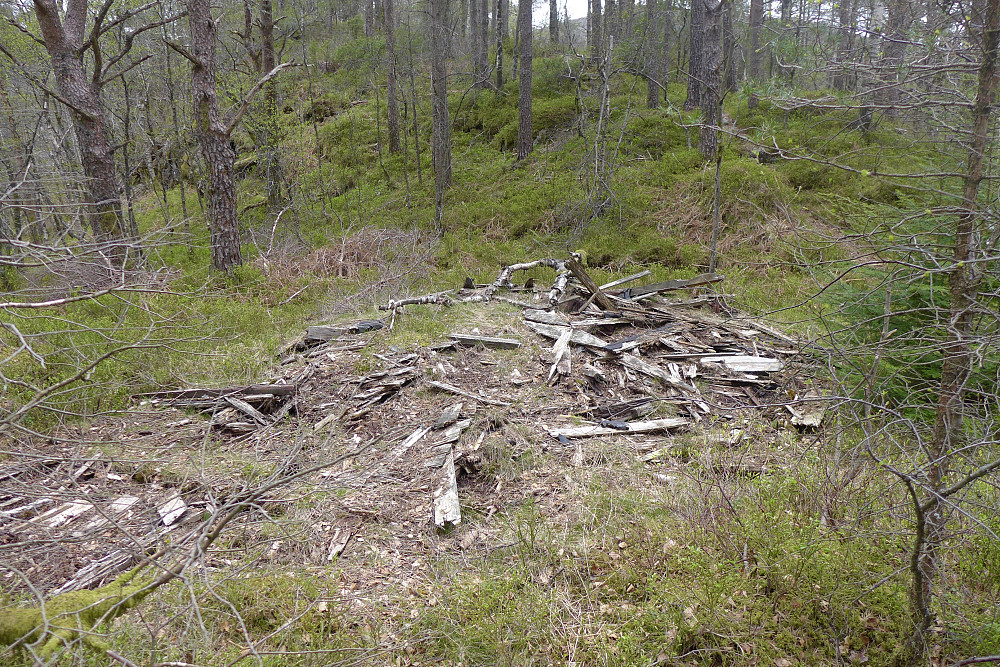 Plankerester etter en hytte på haugen nord for trefallet som viste seg å være etter Fjeldborg