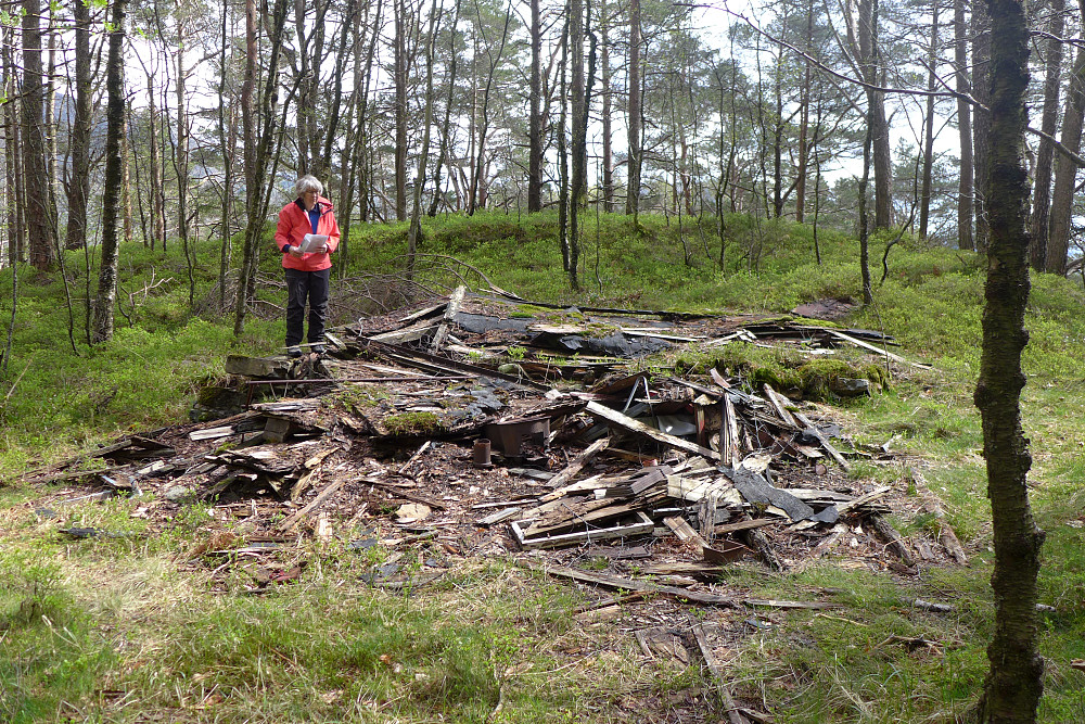 Ruinene etter Skogborg