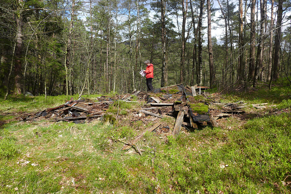 Skogborg