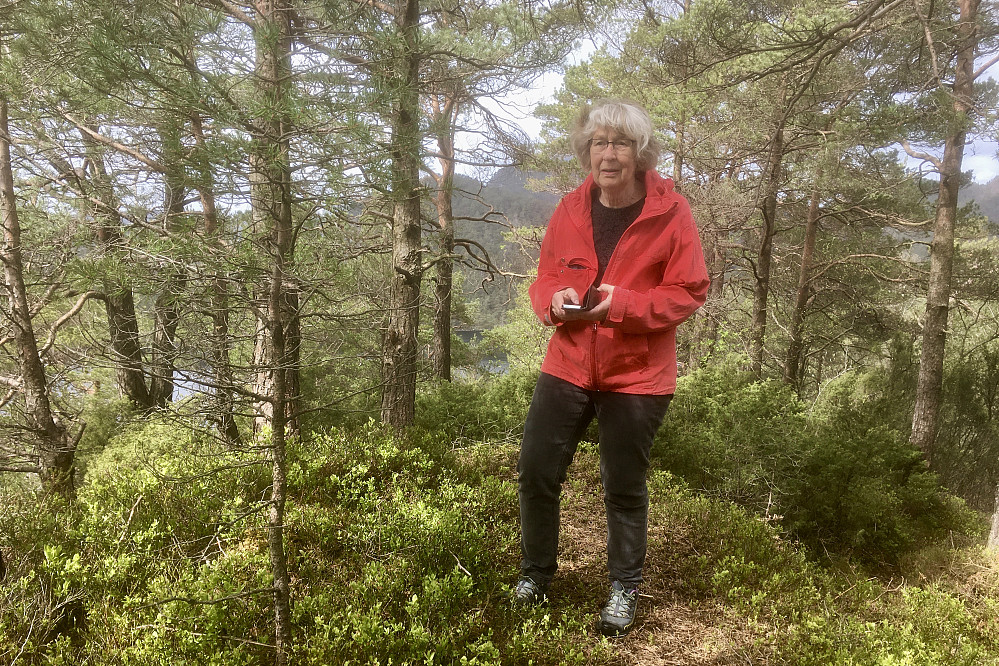 Astrid på sist innlagt Topp i Bergen - Allestadhaugen i Fyllingsdalen