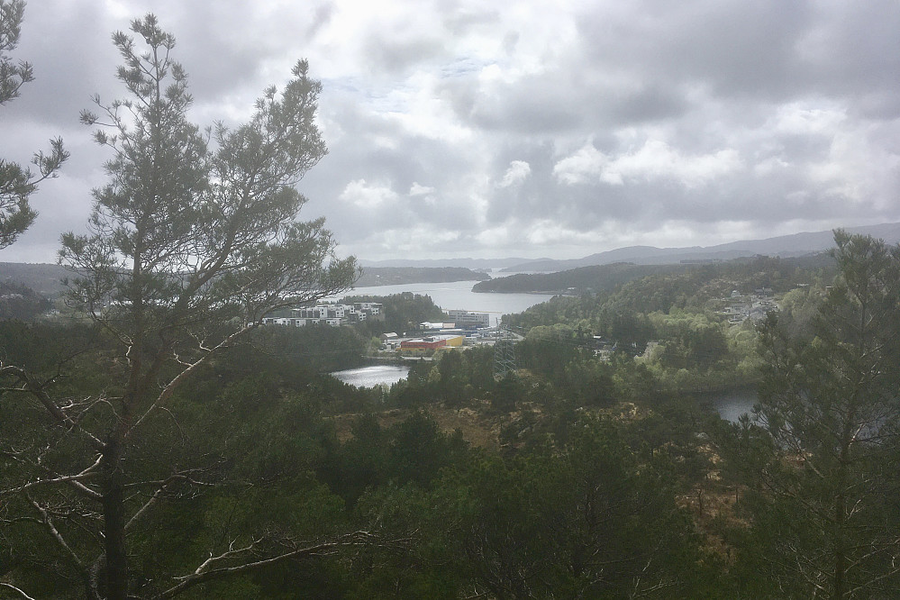 Utsikt vestover mot Kjerreidviken 