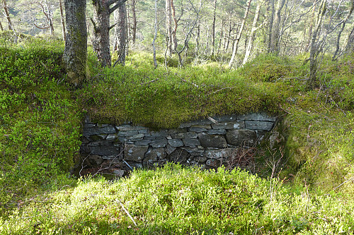 Kjellermuren mot NNØ