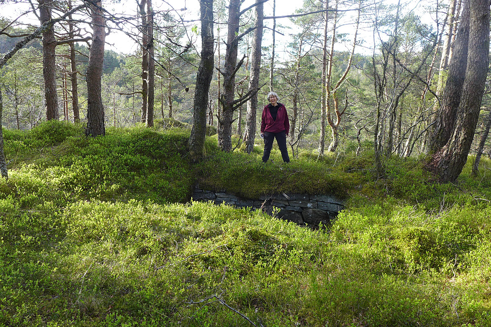 Astrid ved nordenden av en kjellermur (?) som kan ha vært en del av hytten