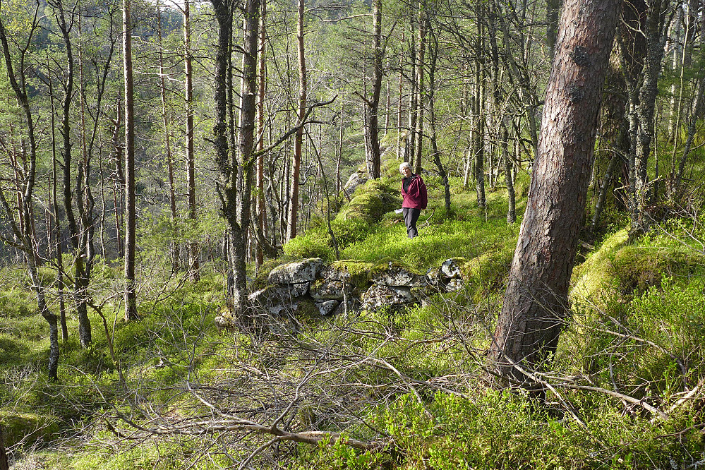 Den lange steinmuren og terrassen sett fra sør