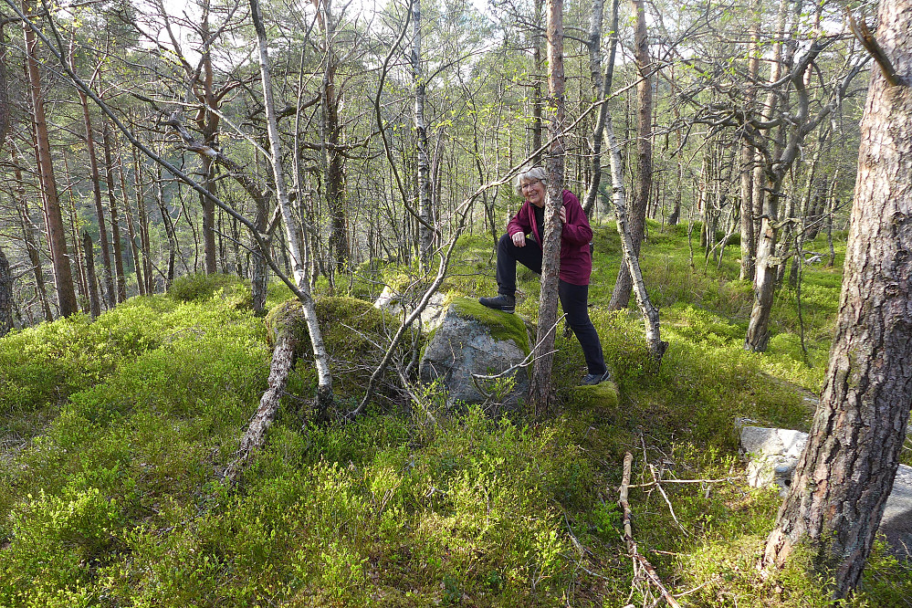 Fin kveldsstund på Eikhaugen i Fyllingsdalen