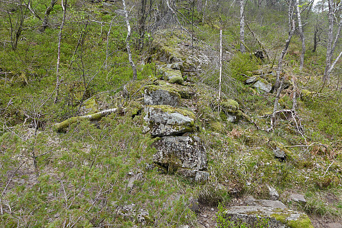 Gammel steingard (eiendomsgrense?) litt VSV for hytteruinen