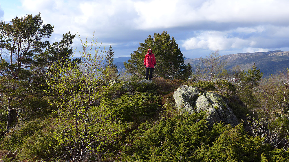 Astrid på Rabnefjellet