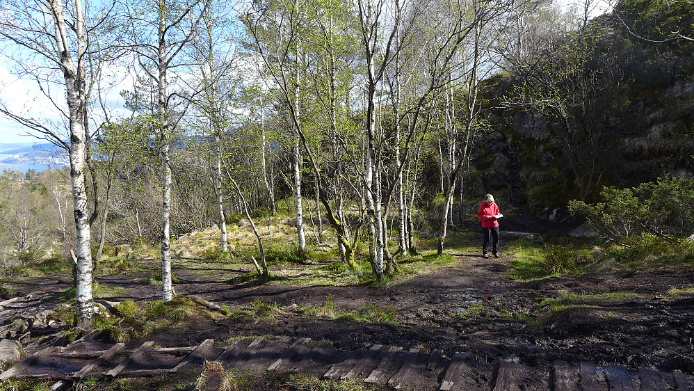 Fjellheim i litt bedre vær enn dagen før