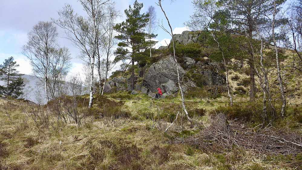 Det oppmurte, flate partiet i nordenden av Skitnedalen der vi trodde Gyldenprishytten (Akevitten) må ha stått. Den er senere "flyttet" til like nord for Kveldsol!