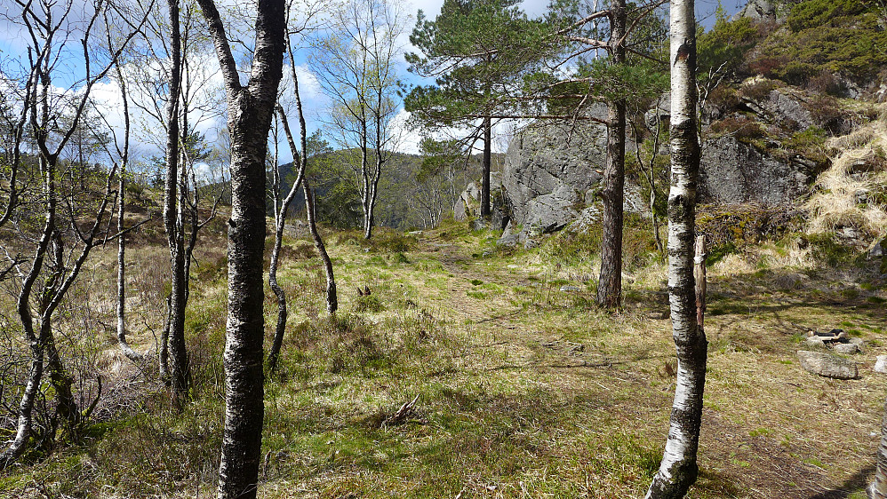 Tuften sett fra øst mot der bekken fra myrområdet i Skitnedalen renner ut og blir til Mønsterbekken