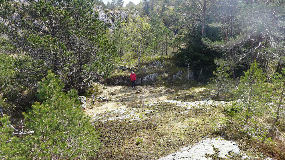 Piknik-stedet for folket på Solhaug (tidligere Fjelly?).