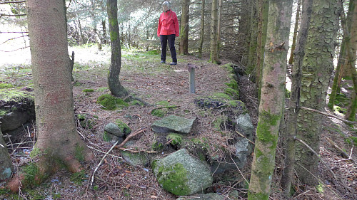 Flaten ca. 10 meter nord for tuften etter hytte og hyttedo. Foto fra 13. mai.