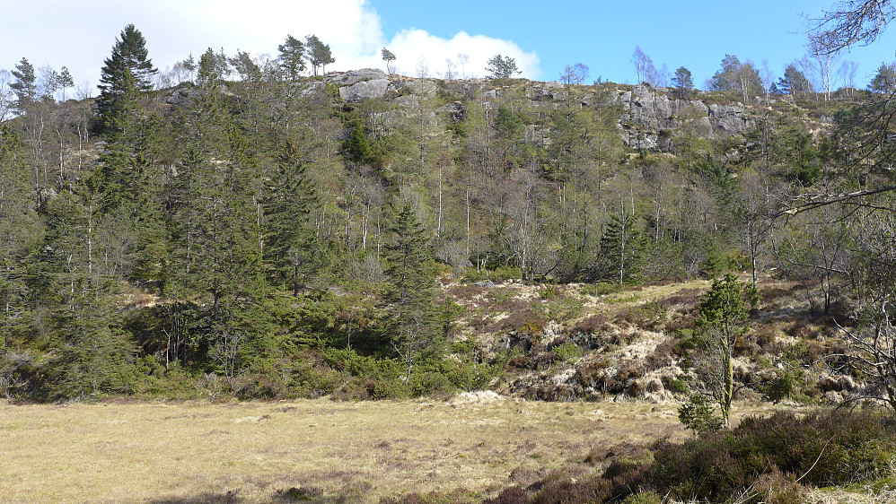 Foto fra NØ for myrområdet. Tuften ganske sentralt i bildet bak området med lite trær