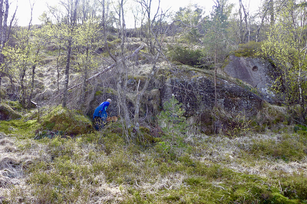 Stedet hvor hyttedoen på Solhaug må ha stått