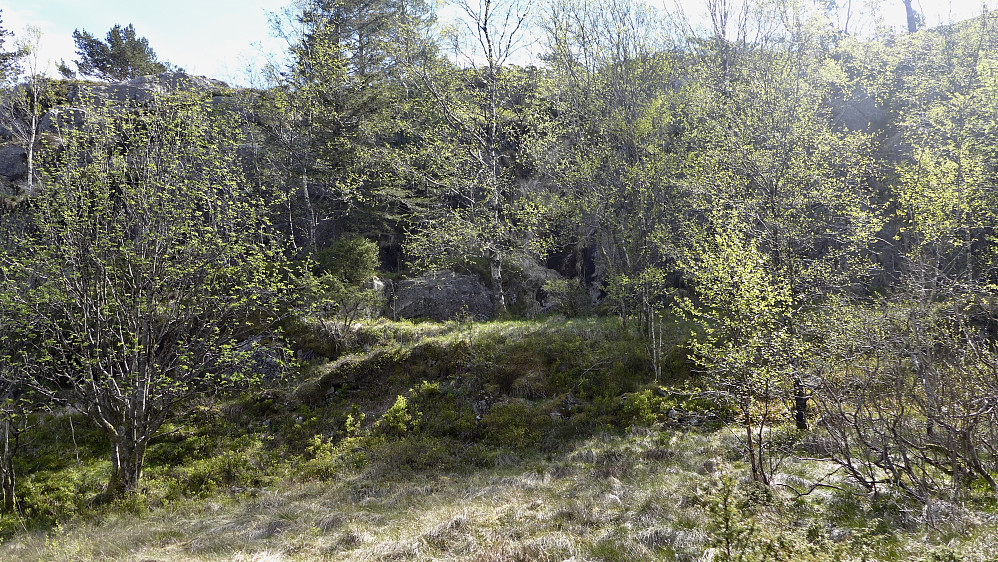 Første glimt av tuften der Helgheim sto - oppmuringen mot vest