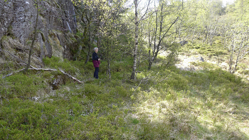 Astrid på stedet der hytten Helgheim antagelig sto.