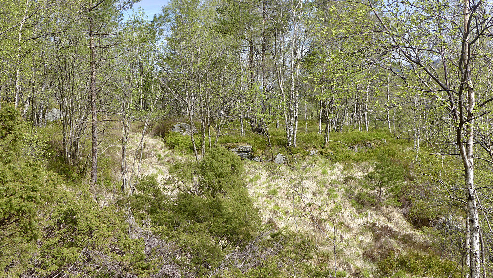 Turen gikk videre til tuftene etter Solhaug på østsiden av den lave fjellryggen