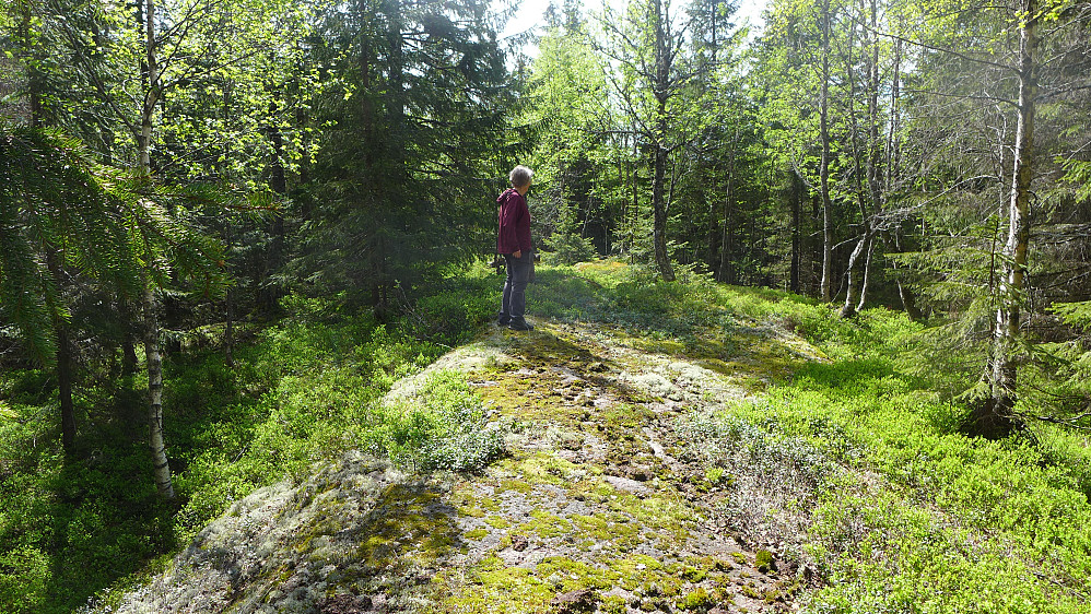 Astrid på høyeste fjellrygg på Furuåsen 458 i Asker. 