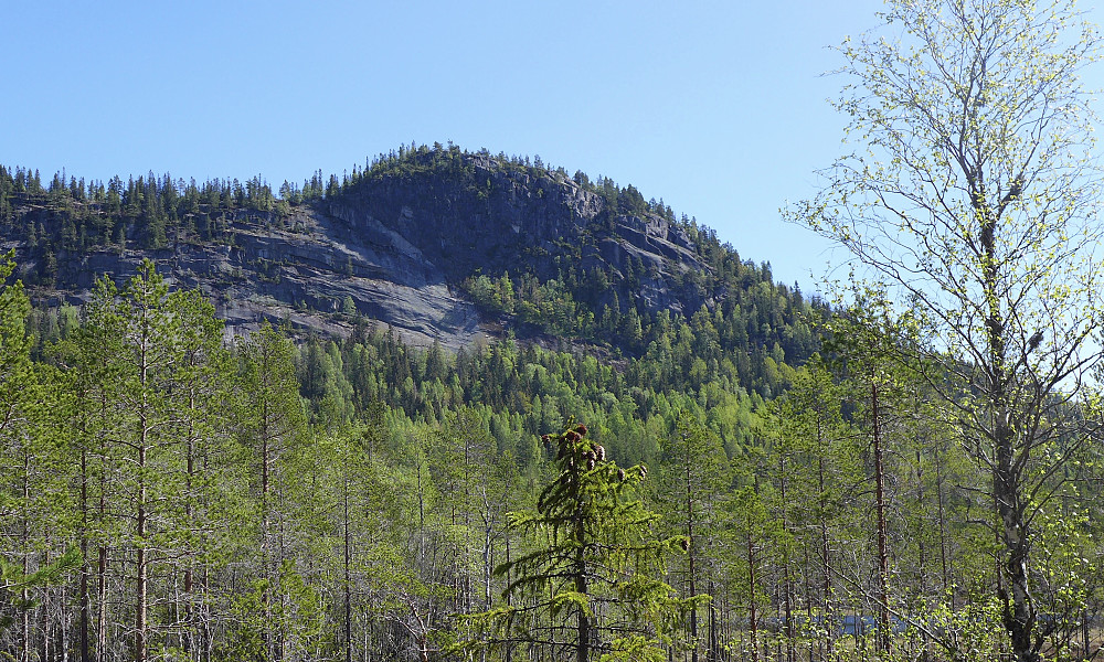 Fjelltoppen Tjuvenborg 688 er et dominerende element i dette ellers så flate området. Tjuvenborghulen ligger ved svaene mot høyre i bildet et stykke nedenfor toppen