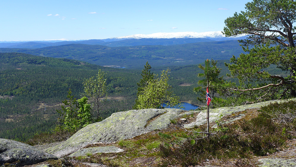 Et norsk flagg pynter utsikten vestover fra Tjuvenborg