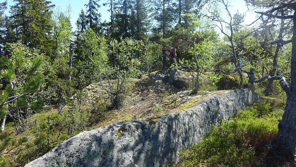 Astrid i rød trøye markerer høyeste punkt på Tjuvenborg 688
