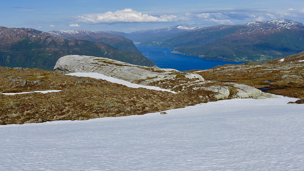Den hvite hvalen øst for Flatfjellet