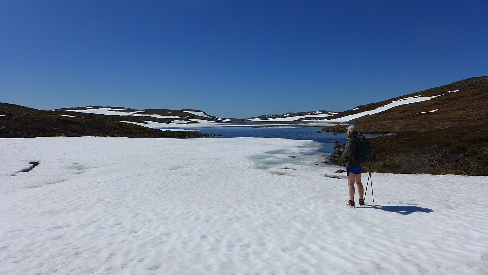 Lettgått på snøen ved Sneililangvatnet 485 moh