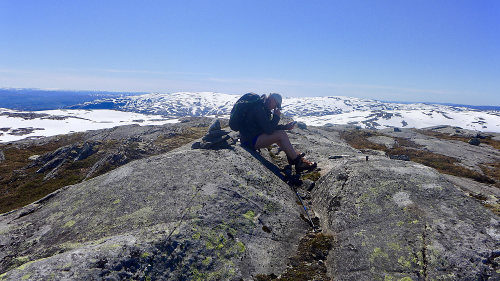 Stig funderer fælt på hvilke høye topper vi ser langt mot sørøst mot svenskegrensen! Noen er opptatt av slikt, andre av trig-punkter og koordinater!