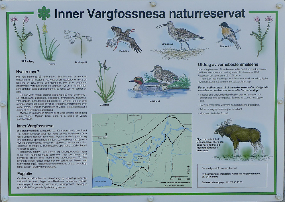 Vargfossnesa naturreservat