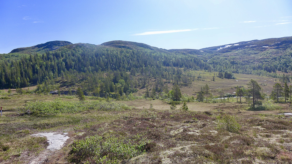 Lettgåtte myrområder nedover mot Kjølåkerbekken