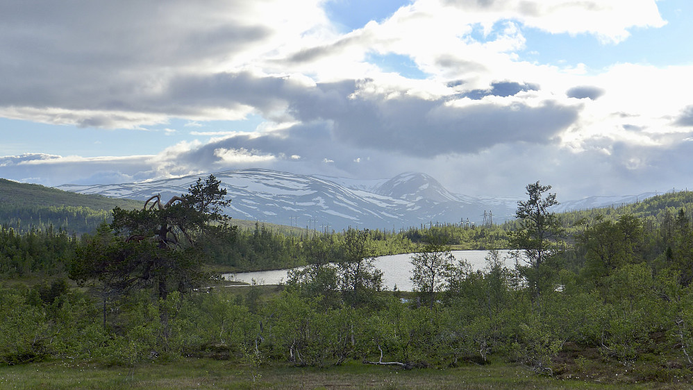 Nesten nede ved Telttjønna. Noen høye topper skimtes i bakgrunnen mot vest. Båtfjellet 1117 og Frøyningsfjellet 1030?