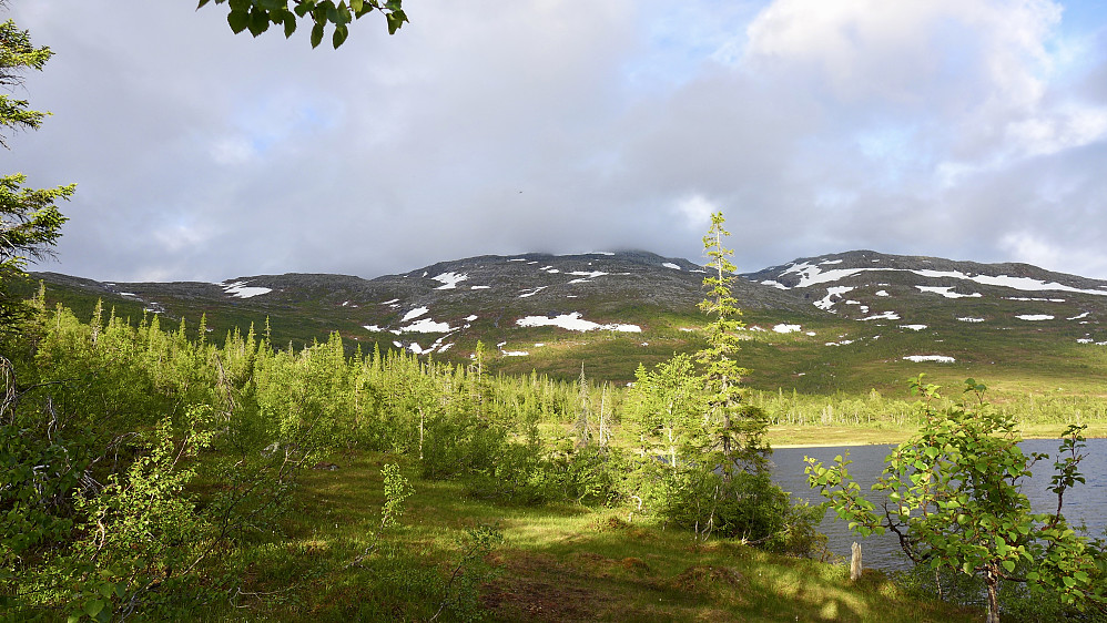 Gisen sett fra Telttjønna på returen. Fjellet ser behagelig lite bratt ut her, men en må opp ca. 700 hm for å nå toppen!