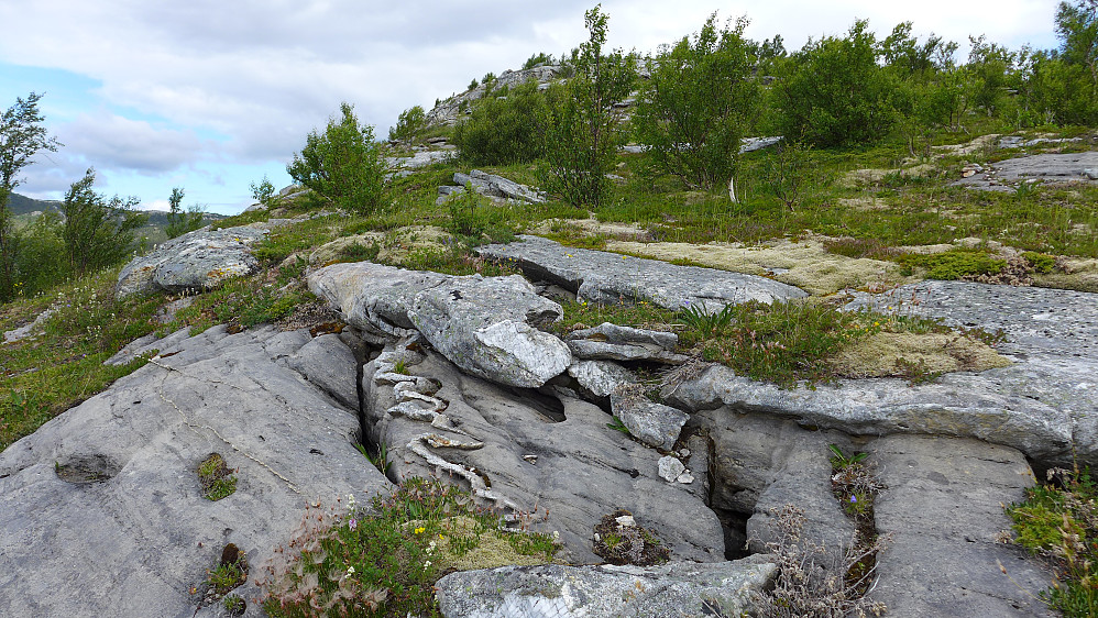 Godbiter for geologisk interesserte!