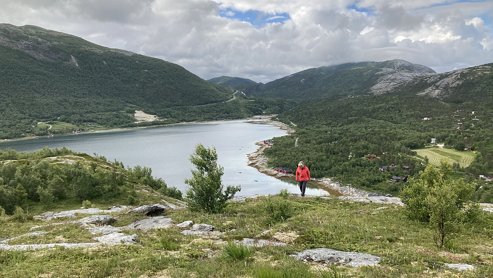 Lettgått og fint terreng. Utsikt mot Valneselva.