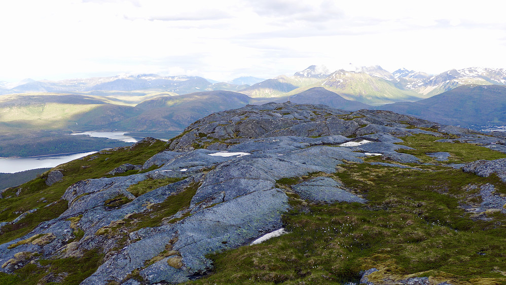 Høyeste punkt på Finnøya fremst i bildet. Trig-stangen i bakgrunnen