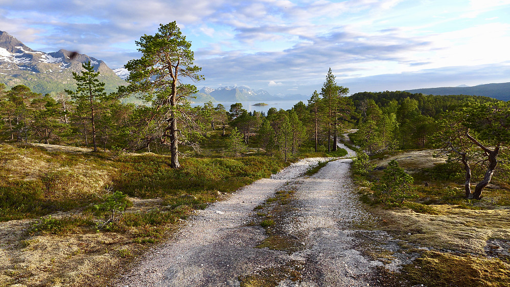 Flott skogsvei oppover fra bommen