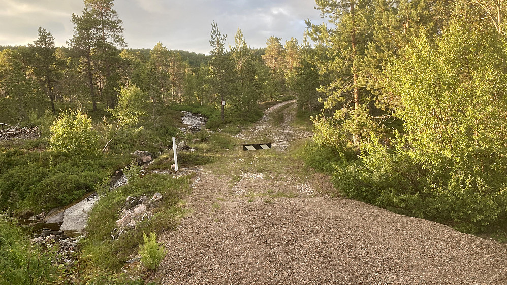 Her starter skogsveien som går oppover mot ØNØ.