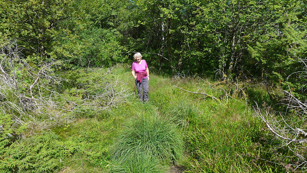 Astrid på flaten der hytten Norheim må ha stått. Tydelige oppmuringer mot øst, ellers ingen sikre bygningsrester.