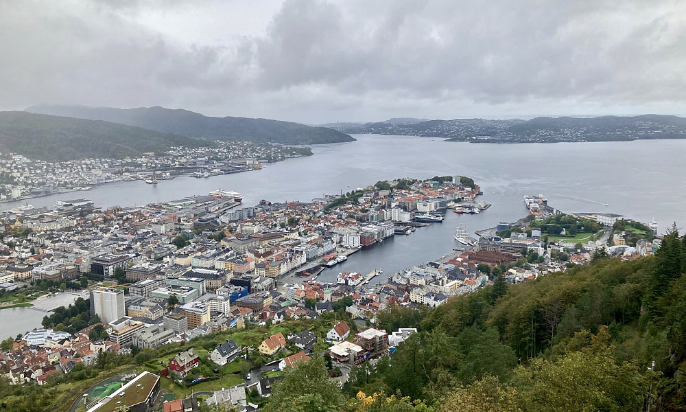 Turen fortsatte til Fløyen der det klippes for Syv-fjellsturen. Utsikt fra Øvre stasjon mot byen.