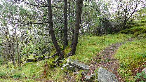 Ruinene av Trollborg sett fra stien til Sandviksfjellet