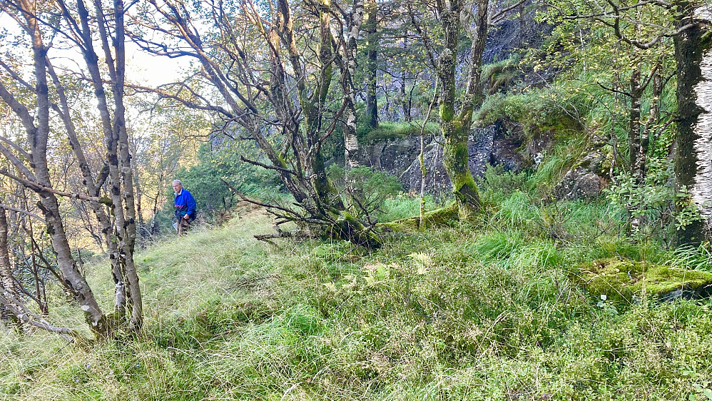 Dagfinn på tuften som ligger ca. 75 m nord for Helgheim