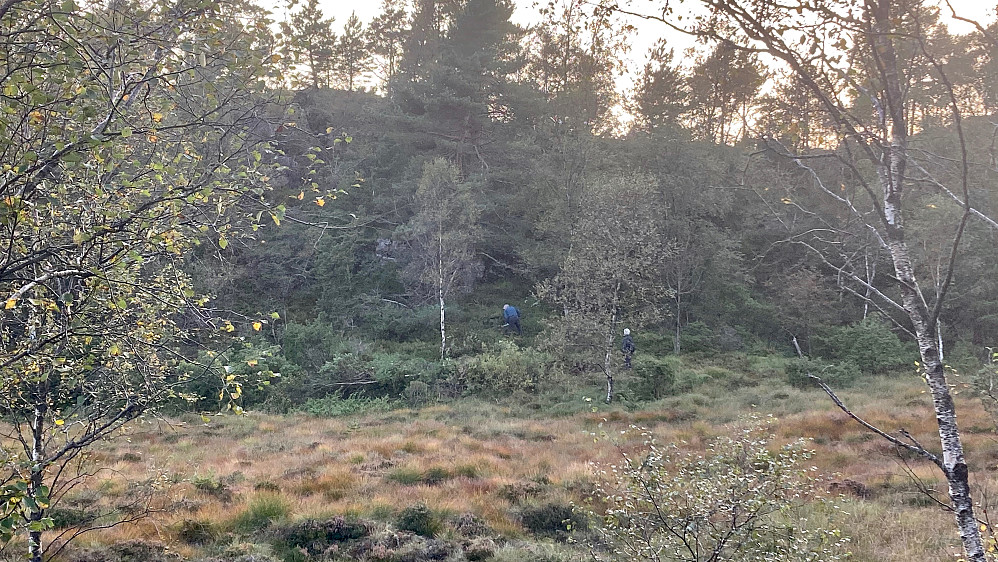 Dårlig bilde mot mulig tuft fra landtungen øst for myren