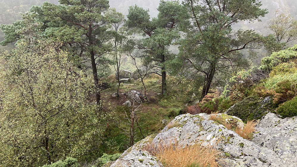 Ser ned mot hyllen sør for Strandafjellet fra toppen