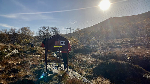 Nødkjelken - Byfjellene 109 i Simsedalen i motlys