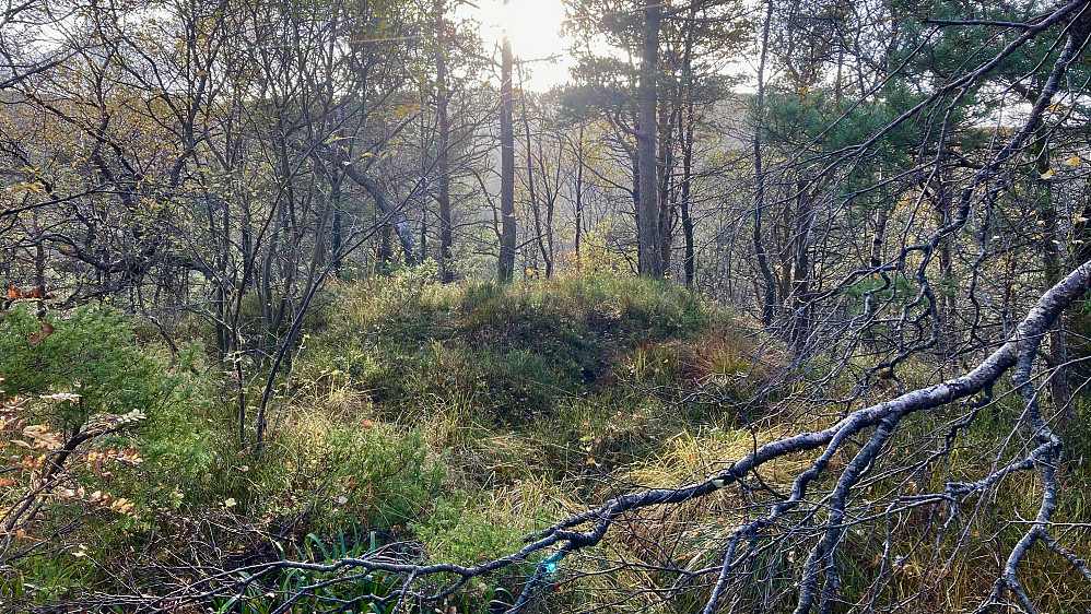 Haugen som markerer høyeste punkt på Storhovden