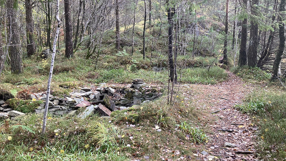 Flate og mur sør for hyttetuften. 