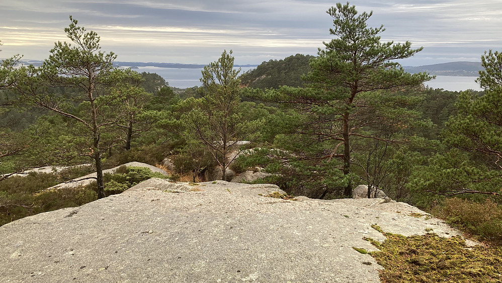 Ingen markering på toppen av Moldstighaugen. Dette er nok med god grunn en lite besøkt topp!