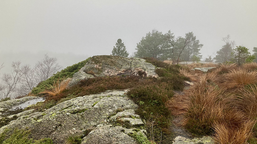 Toppen på knausen som har fått navnet Holefjellet S. Noen som har andre navneforslag? Vest for Skaret?
